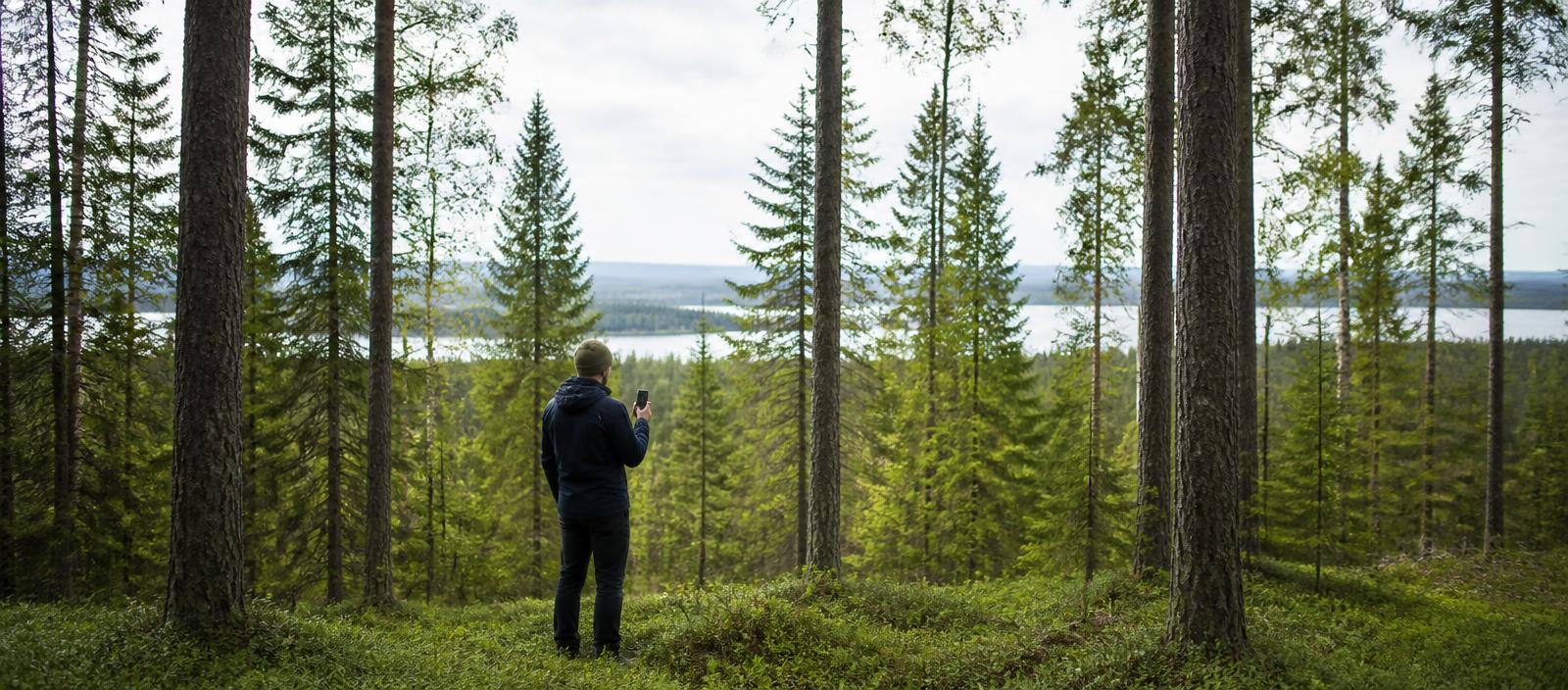 Skogsägare med telefon i granskog med utsikt över en sjö